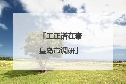 王正谱在秦皇岛市调研