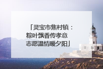 灵宝市焦村镇：粽叶飘香传孝意 志愿温情暖夕阳