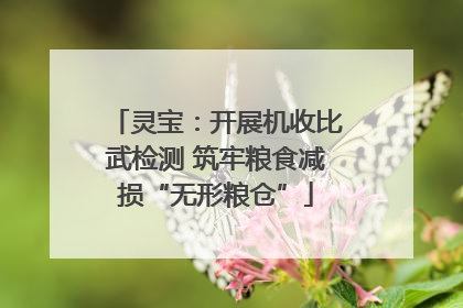 灵宝：开展机收比武检测 筑牢粮食减损“无形粮仓”