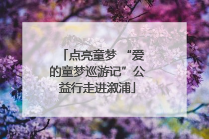 点亮童梦 “爱的童梦巡游记”公益行走进溆浦