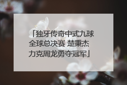 独牙传奇中式九球全球总决赛 楚秉杰力克周龙勇夺冠军