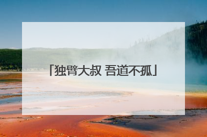 独臂大叔 吾道不孤