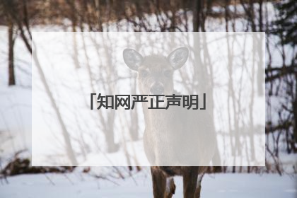 知网严正声明