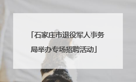 石家庄市退役军人事务局举办专场招聘活动