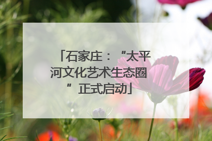 石家庄：“太平河文化艺术生态圈”正式启动