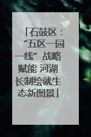 石鼓区：“五区一园一线”战略赋能 河湖长制绘就生态新图景