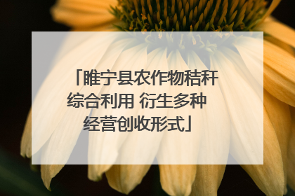 睢宁县农作物秸秆综合利用 衍生多种经营创收形式