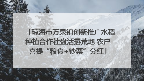 琼海市万泉镇创新推广水稻种植合作社盘活撂荒地 农户喜提“粮食+钞票”分红