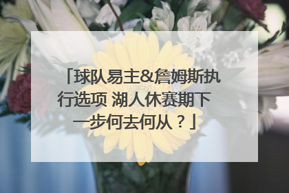 球队易主&詹姆斯执行选项 湖人休赛期下一步何去何从？