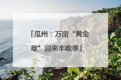瓜州：万亩“黄金草”迎来丰收季