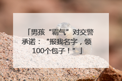 男孩“霸气”对交警承诺：“报我名字，领100个包子！”