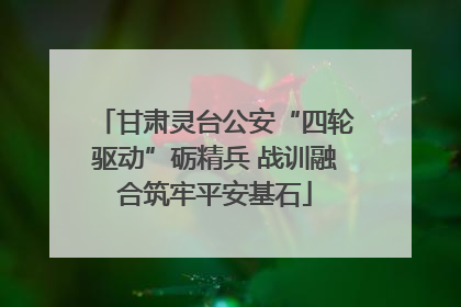 甘肃灵台公安“四轮驱动”砺精兵 战训融合筑牢平安基石