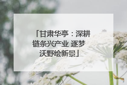 甘肃华亭：深耕链条兴产业 逐梦沃野绘新景
