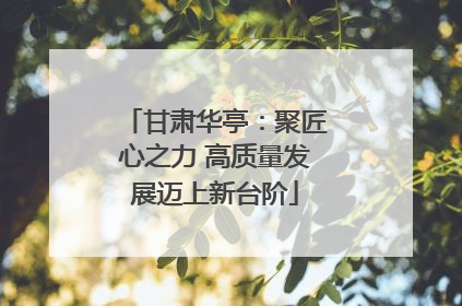 甘肃华亭：聚匠心之力 高质量发展迈上新台阶