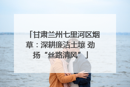 甘肃兰州七里河区烟草：深耕廉洁土壤 劲扬“丝路清风”