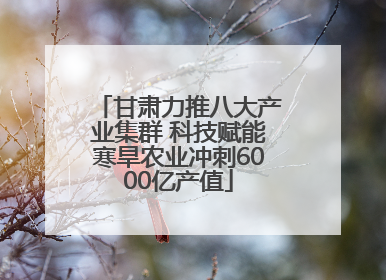 甘肃力推八大产业集群 科技赋能寒旱农业冲刺6000亿产值