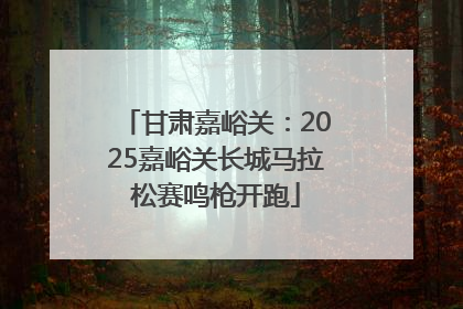 甘肃嘉峪关：2025嘉峪关长城马拉松赛鸣枪开跑