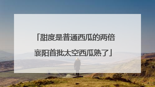 甜度是普通西瓜的两倍 襄阳首批太空西瓜熟了