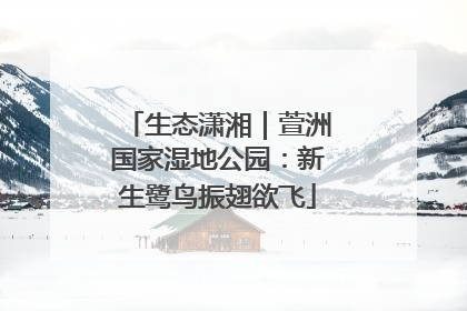 生态潇湘｜萱洲国家湿地公园：新生鹭鸟振翅欲飞