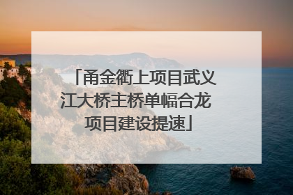 甬金衢上项目武义江大桥主桥单幅合龙 项目建设提速