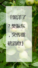 留洋了？樊振东，突传重磅消息