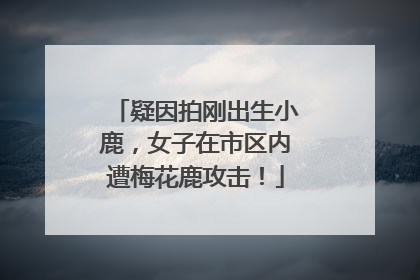 疑因拍刚出生小鹿，女子在市区内遭梅花鹿攻击！