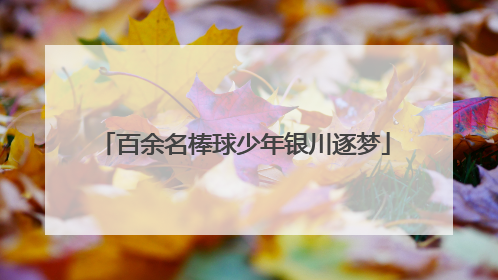 百余名棒球少年银川逐梦