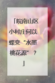 皖南山区小村庄何以蝶变“水墨桃花源”？