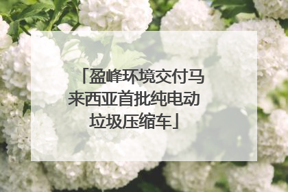 盈峰环境交付马来西亚首批纯电动垃圾压缩车
