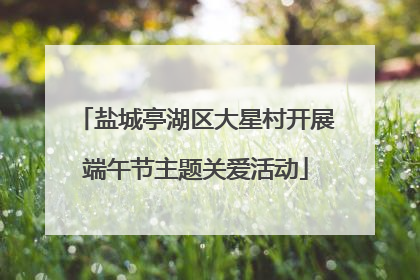 盐城亭湖区大星村开展端午节主题关爱活动