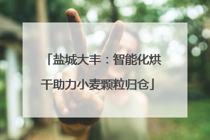 盐城大丰：智能化烘干助力小麦颗粒归仓