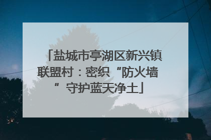 盐城市亭湖区新兴镇联盟村：密织“防火墙”守护蓝天净土