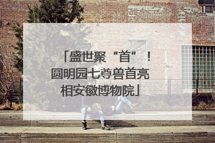 盛世聚“首”！圆明园七尊兽首亮相安徽博物院
