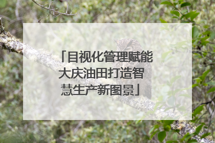 目视化管理赋能 大庆油田打造智慧生产新图景