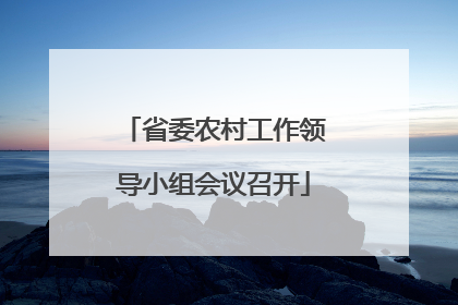 省委农村工作领导小组会议召开