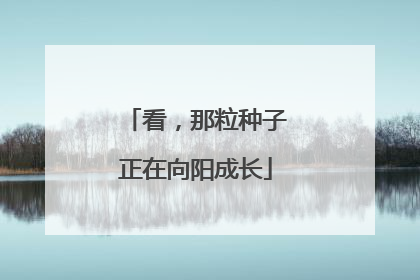 看，那粒种子正在向阳成长