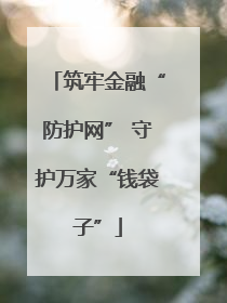 筑牢金融“防护网” 守护万家“钱袋子”