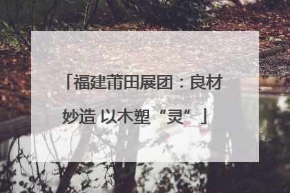 福建莆田展团：良材妙造 以木塑“灵”