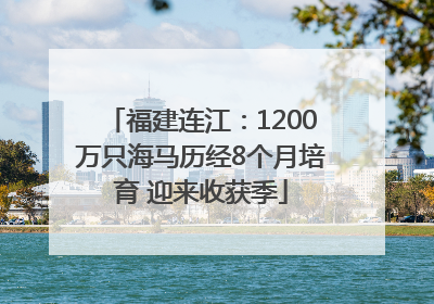 福建连江：1200万只海马历经8个月培育 迎来收获季