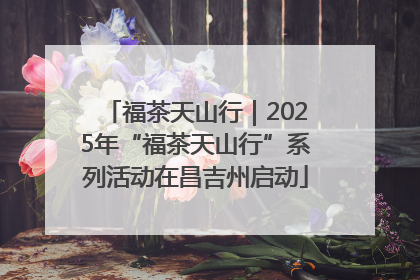福茶天山行｜2025年“福茶天山行”系列活动在昌吉州启动