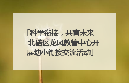 科学衔接，共育未来——北碚区龙凤教管中心开展幼小衔接交流活动