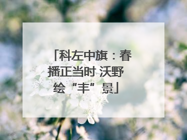 科左中旗：春播正当时 沃野绘“丰”景