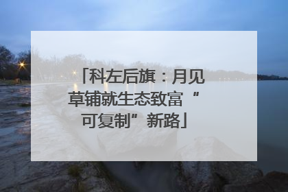 科左后旗：月见草铺就生态致富“可复制”新路