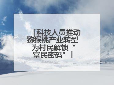 科技人员推动猕猴桃产业转型 为村民解锁“富民密码”