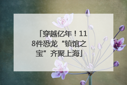 穿越亿年！118件恐龙“镇馆之宝”齐聚上海