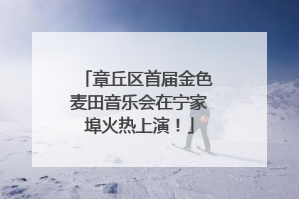 章丘区首届金色麦田音乐会在宁家埠火热上演！