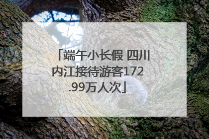 端午小长假 四川内江接待游客172.99万人次