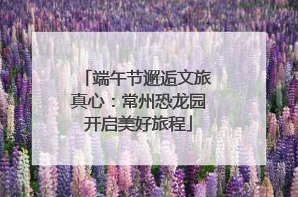端午节邂逅文旅真心：常州恐龙园开启美好旅程
