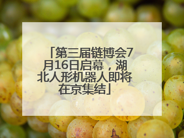 第三届链博会7月16日启幕，湖北人形机器人即将在京集结