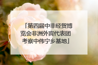 第四届中非经贸博览会非洲外宾代表团考察中伟宁乡基地